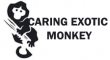 Caring Exotic Monkey
